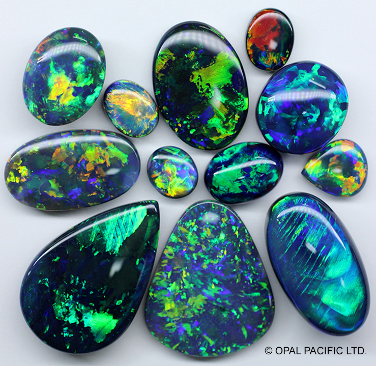 BLACK OPAL